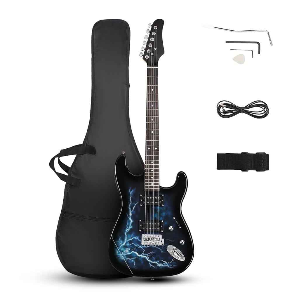 ギター Electric Guitar Collection FIRSTMAN 一風変わったギター達 | イシバシ楽器スタッフブログ